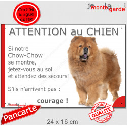 Chow-Chow fauve orange, plaque portail humour "Attention au Chien, Jetez Vous au Sol, attendez secours, courage" pancarte photo 