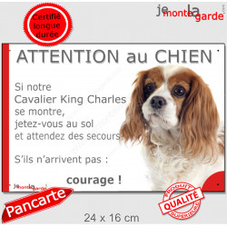 Cavalier King Charles Blenheim, plaque portail humour "Attention au Chien, Jetez Vous au Sol, attendez secours, courage" 