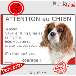 Cavalier King Charles Blenheim, plaque portail humour "Attention au Chien, Jetez Vous au Sol, attendez secours, courage" 