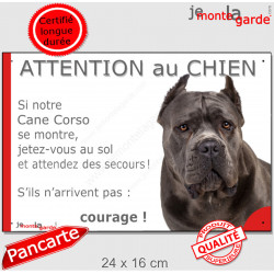 Cane Corso gris bleu, plaque humour "Attention au Chien, Jetez Vous au Sol, courage" photo oreilles coupées