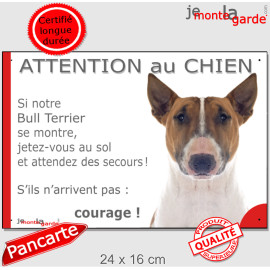Bull Terrier fauve et blanc, plaque portail humour "Attention au Chien, Jetez Vous au Sol, secours, courage" photo drôle