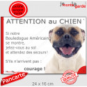 Bouledogue Américain fauve, plaque humour "Attention au Chien", Jetez Vous au Sol" 24 cm