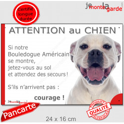 Bouledogue Américain tout blanc, plaque portail humour "Attention au chien, Jetez Vous au Sol, courage" pancarte photo Boulam