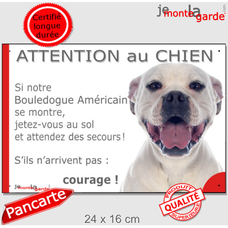 Bouledogue Américain tout blanc, plaque portail humour "Attention au chien, Jetez Vous au Sol, courage" photo Boulam, résiste pl