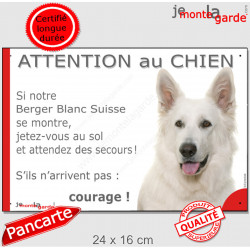 Berger Blanc Suisse, plaque portail humour "Attention au Chien, jetez-vous au sol, secours, courage" BBS photo