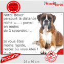 Boxer Fauve, plaque humour "distance Niche - Portail 3 secondes" 24 cm 3SEC