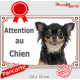 Chihuahua noir et feu à poils longs Tête, plaque portail "Attention au Chien" pancarte panneau photo