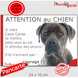 Cane Corso Italiano gris bleu, plaque extérieure humour "Attention au Chien, Jetez Vous au Sol, courage" pancarte portail photo