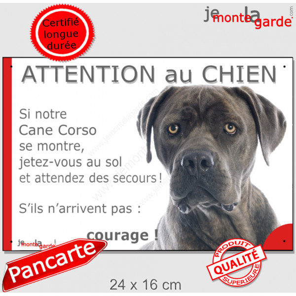 Cane Corso Italiano gris bleu, plaque extérieure humour "Attention au Chien, Jetez Vous au Sol, courage" pancarte portail photo