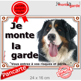 Bouvier Bernois, plaque portail photo "Je Monte la Garde, vous entrez à vos risques et périls" résiste dehors, 3 tailles D