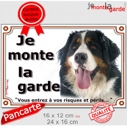 Bouvier Bernois Tête, Plaque portail extérieur "Je Monte la Garde, risques périls" panneau pancarte attention au chien photo