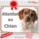 Epagneul Breton blanc et orange Tête, plaque portail extérieur "Attention au Chien" panneau pancarte photo