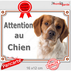 Epagneul Breton blanc et orange Tête, plaque portail extérieur "Attention au Chien" panneau pancarte photo