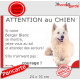 Berger Blanc Suisse couché, plaque portail humour "Attention au Chien, Jetez Vous au Sol, courage" pancarte panneau drôle photo