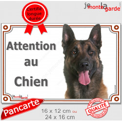 Berger Belge Malinois Tête, plaque portail extérieur "Attention au Chien" pancarte panneau photo race