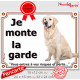 Golden Retriever Assis, Plaque portail "je monte la garde, risques et périls" affiche pancarte photo attention au chien