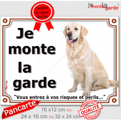 Golden Retriever Assis, Plaque portail "je monte la garde, risques et périls" affiche pancarte photo attention au chien