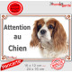 Cavalier King Charles Blenheim Tête, plaque portail extérieur "Attention au Chien" pancarte photo panneau blanc et orange marron