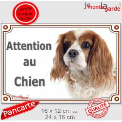 Cavalier King Charles Blenheim Tête, plaque portail extérieur "Attention au Chien" pancarte photo panneau blanc et orange marron