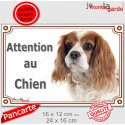 Cavalier King Charles Blenheim, plaque extérieure "Attention au Chien" 2 tailles LUX D