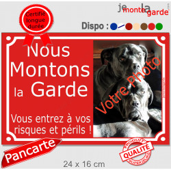 Photo personnalisable, plaque pluriel portail rouge "Nous Montons la Garde, risques périls" look plaque de rue 24 cm