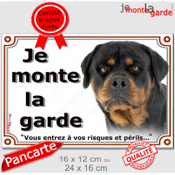 Rottweiler Tête, plaque portail extérieure "Je Monte la Garde, risques et périls" pancarte rott attention au chien photo