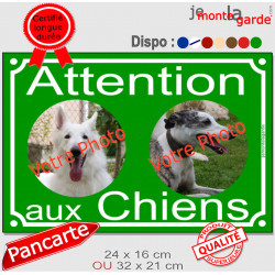 Photo personnalisable, plaque pluriel portail vert vif "Attention aux Chiens" look plaque de rue