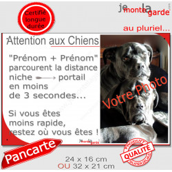 Photo Personnalisable, plaque humour PLURIEL "Attention aux Chiens, parcourent distance Niche-Portail moins 3 secondes, rapide"