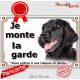 Flat Coated Retriever noir Tête, Plaque portail extérieur "Je Monte la Garde, risques périls" panneau pancarte photo
