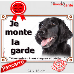 Flat Coated Retriever noir Tête, Plaque portail extérieur "Je Monte la Garde, risques périls" panneau pancarte photo
