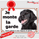 Flat Coated Retriever noir Tête, Plaque portail extérieur "Je Monte la Garde, risques périls" panneau pancarte photo