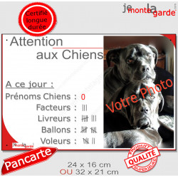 Photo Personnalisable, plaque portail humour PLURIEL "Attention aux Chiens, Nombre Ballons, facteurs, Livreurs, Voleurs"