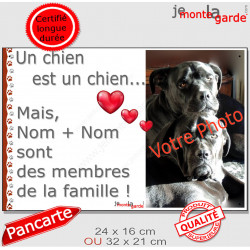 Photo Personnalisable, plaque portail PLURIEL "Nos chiens sont des membres la famille" Attention aux Chiens règles maison