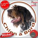 Griffon Korthal, sticker voiture rond "Chien à Bord" 2 tailles D