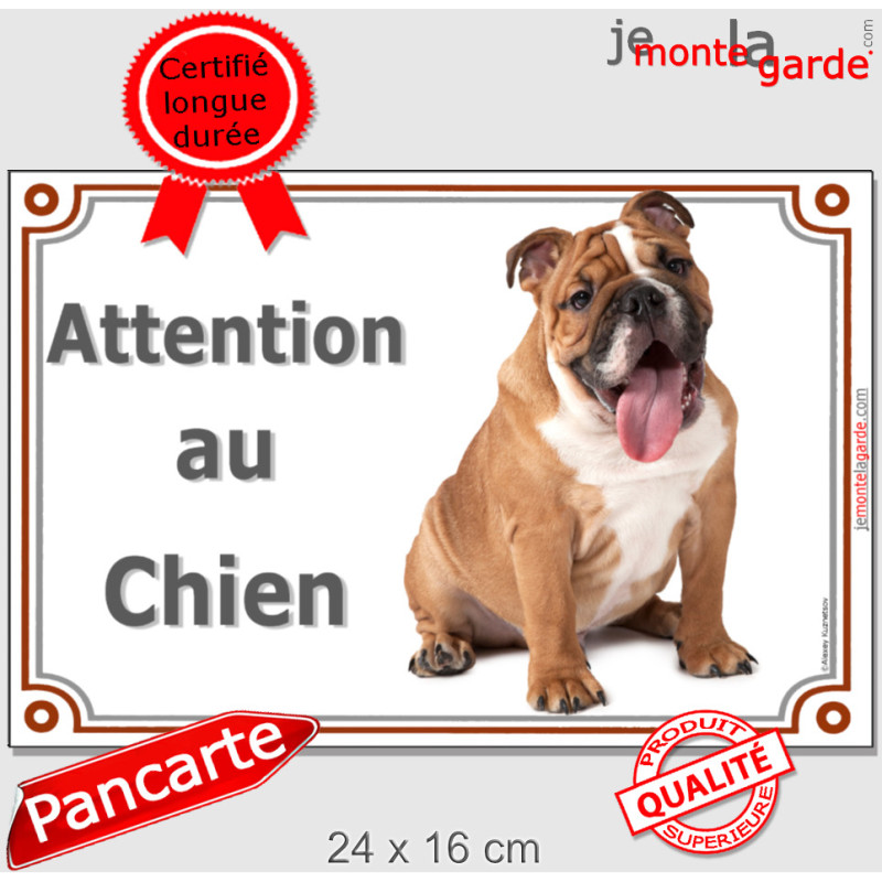 Bulldog Anglais fauve marron Assis, plaque portail "Attention au Chien" photo résiste pluie soleil gel, idée cadeau Bulldog Anglais fauve marron Assis, plaque portail "Attention au Chien" photo résiste pluie soleil gel, idée cadeau