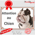 American Bully, plaque portail "Attention au Chien" 2 tailles LUX D