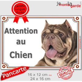 American Bully lilac et tan, plaque portail "Attention au Chien" photo race résiste intempéries