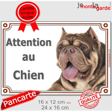 American Bully Chocolate & Tan, plaque portail photo "Attention au Chien" 3 tailles D