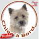 Cairn Terrier Tête, sticker autocollant rond "Chien à Bord" Disque photo adhésif vitre voiture