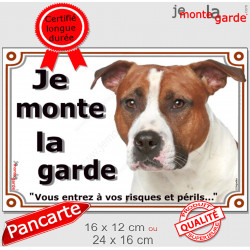 American-Staff Fauve, Plaque portail "Je Monte la Garde, risques périls" panneau pancarte, amstaff, am staff photo