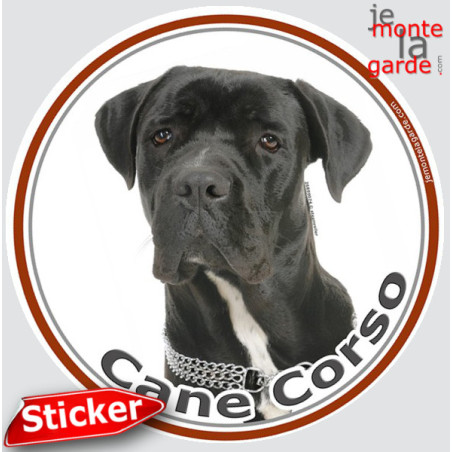 Cane Corso Noir, sticker autocollant int/ext. photo rond 15 cm 3a Cane Corso Noir, sticker autocollant int/ext. photo rond 15 cm 3a