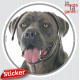 Cane Corso Italiano gris bleu, sticker autocollant rond "photo" 15 cm intérieur/Extérieur adhésif chien résistant