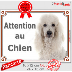 Caniche blanc, plaque portail "Attention au Chien" pancarte entrée, panneau photo race