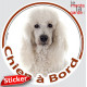Caniche Blanc, sticker autocollant rond "Chien à Bord" Disque photo adhésif vitre voiture