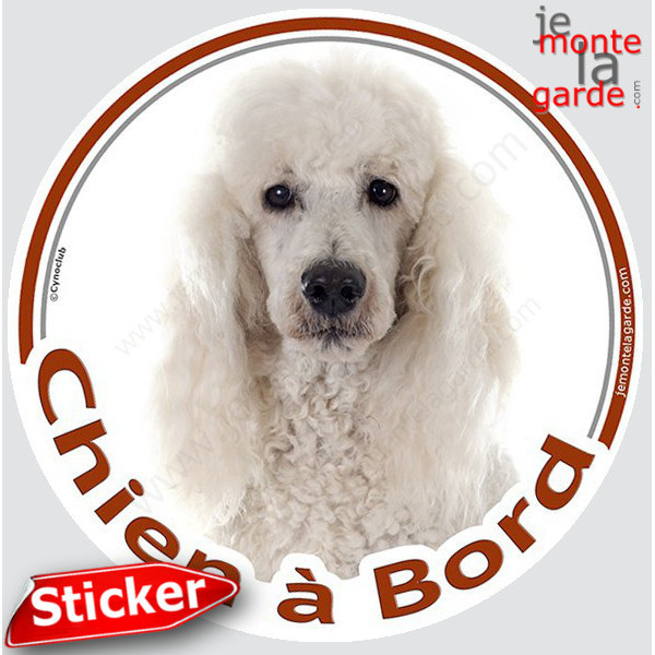 Caniche Blanc, sticker autocollant rond "Chien à Bord" Disque photo adhésif vitre voiture