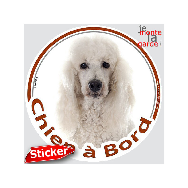 Caniche Blanc, sticker autocollant rond "Chien à Bord" Disque photo adhésif vitre voiture, résiste pluie soleil gel, idée cadeau