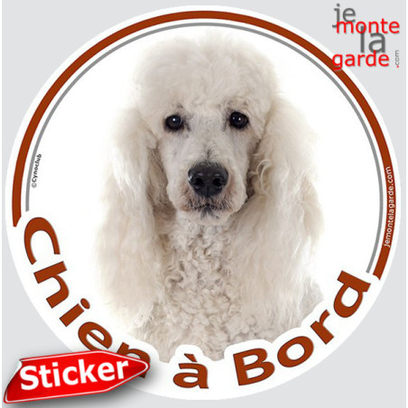 Caniche Blanc, sticker voiture rond photo "Chien à Bord" résiste pluie soleil gel, idée cadeau, 2 Tailles D