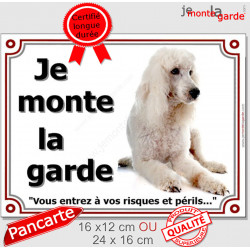 Caniche Blanc Couché, plaque portail "Je Monte la Garde, risques périls" pancarte panneau photo affiche