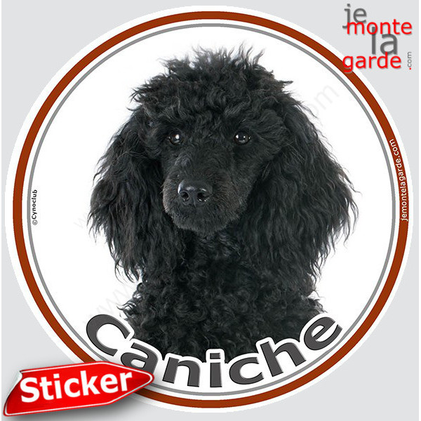 Caniche Noir Tête, sticker autocollant rond, Disque photo, adhésif