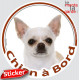 Chihuahua blanc poils courts Tête, sticker autocollant rond "Chien à Bord" Disque photo adhésif vitre voiture